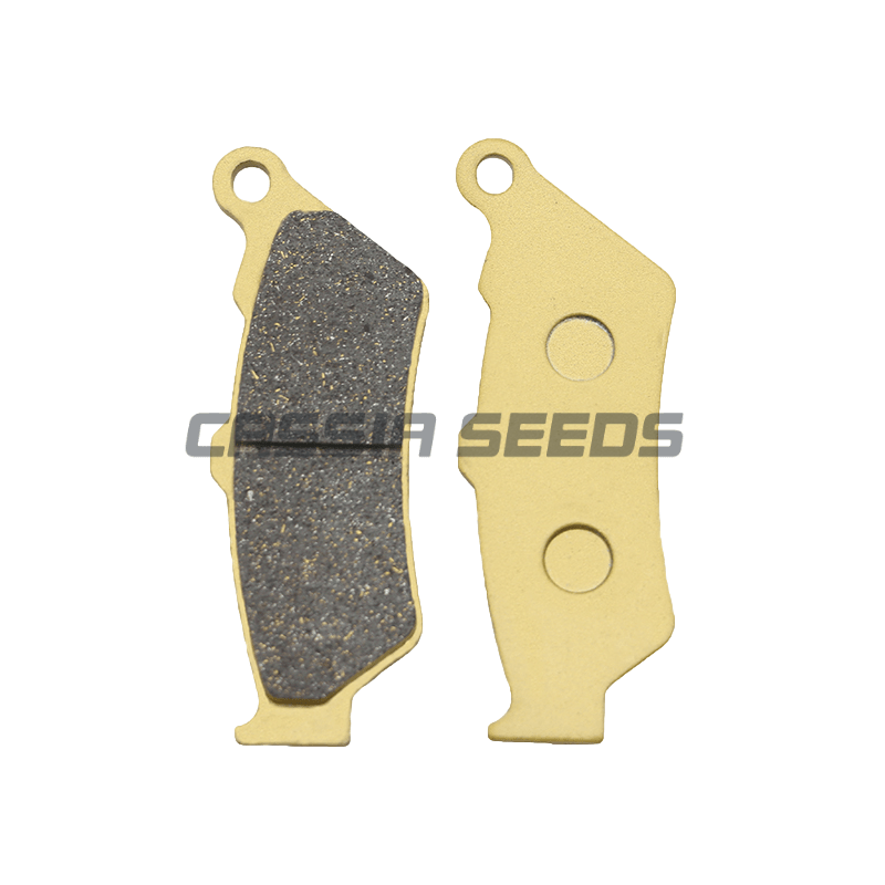 Pastiglie freno anteriori e po - Carbon Ceramic Motorcycle Brake Rotor recensione e prezzo
