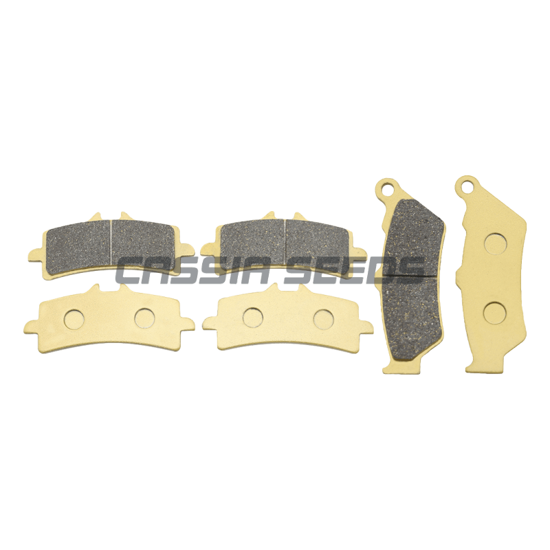 Pastiglie freno anteriori e po - Carbon Ceramic Motorcycle Brake Rotor recensione e prezzo